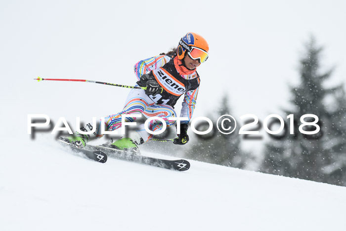4. Ziener Cup WF, 25.02.2018