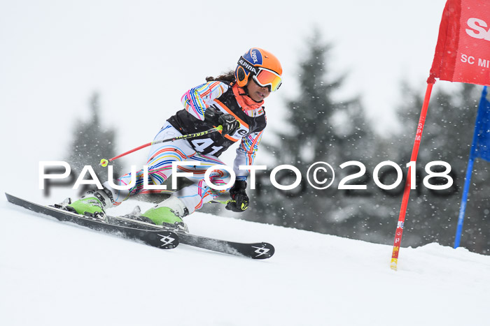 4. Ziener Cup WF, 25.02.2018