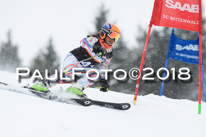 4. Ziener Cup WF, 25.02.2018