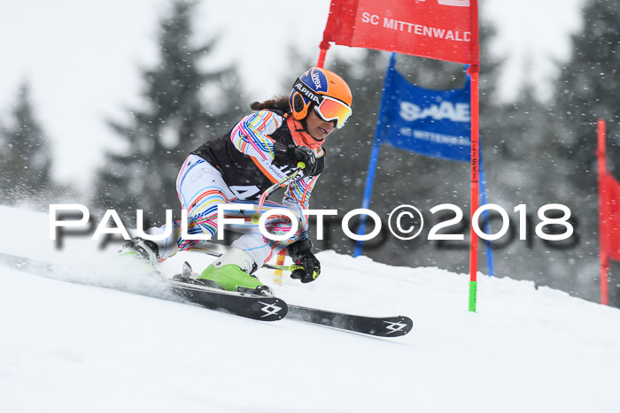 4. Ziener Cup WF, 25.02.2018