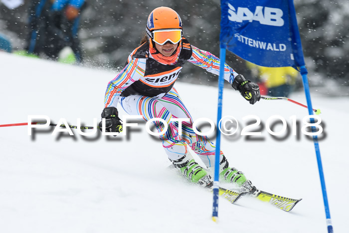4. Ziener Cup WF, 25.02.2018