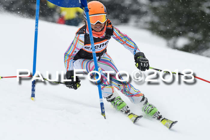 4. Ziener Cup WF, 25.02.2018