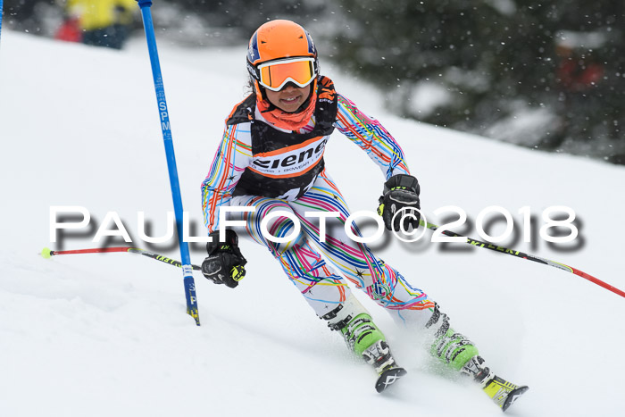 4. Ziener Cup WF, 25.02.2018
