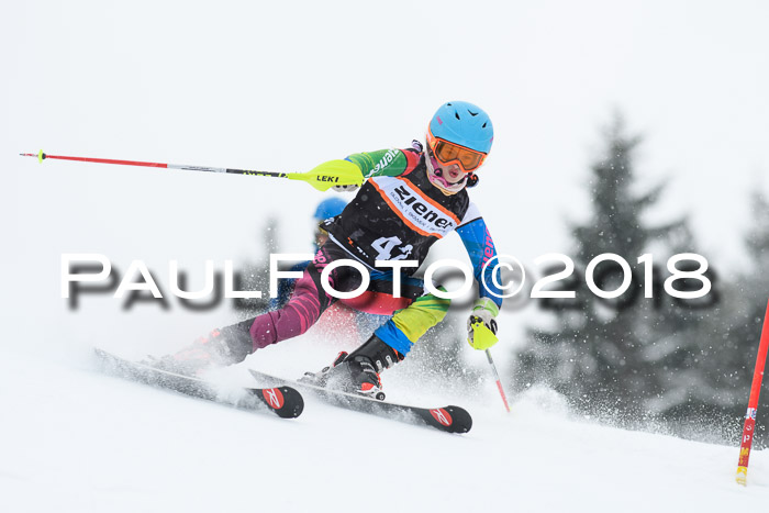 4. Ziener Cup WF, 25.02.2018