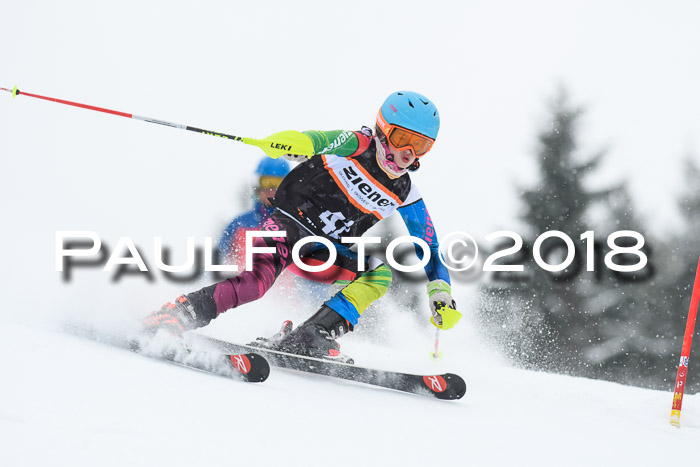 4. Ziener Cup WF, 25.02.2018
