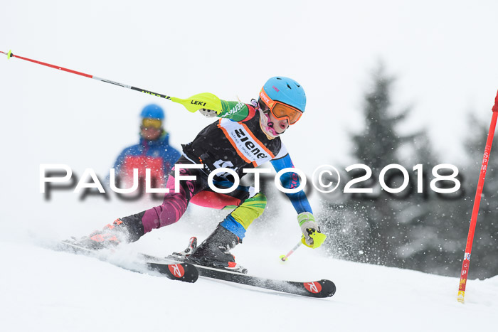 4. Ziener Cup WF, 25.02.2018