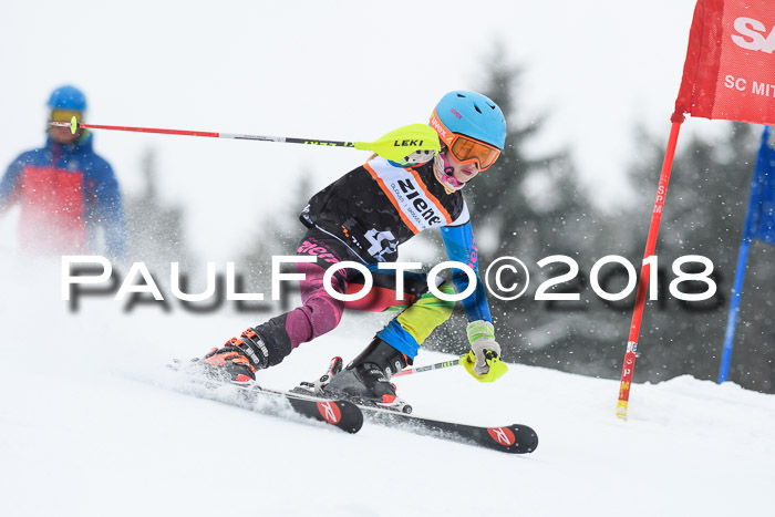 4. Ziener Cup WF, 25.02.2018