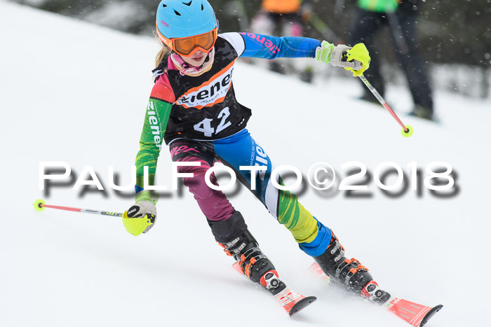4. Ziener Cup WF, 25.02.2018