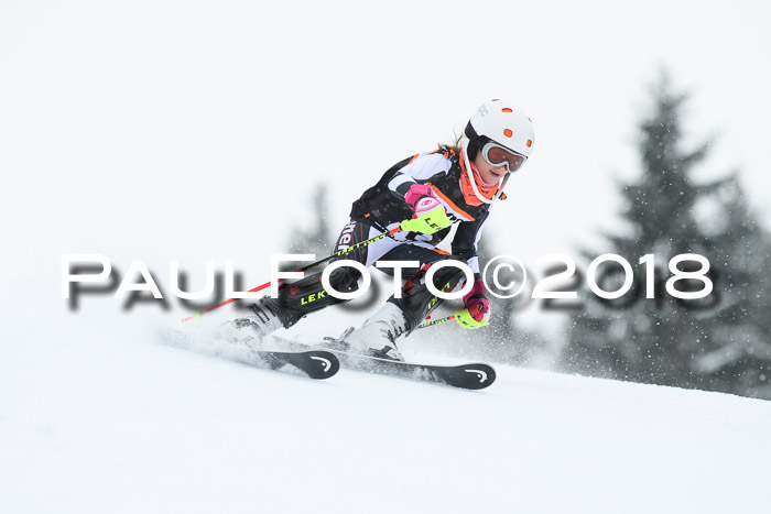 4. Ziener Cup WF, 25.02.2018