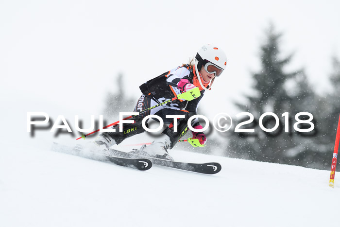 4. Ziener Cup WF, 25.02.2018