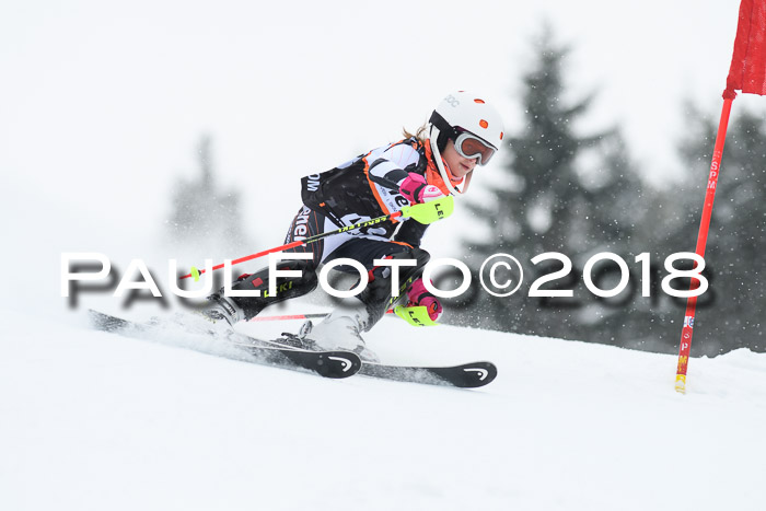 4. Ziener Cup WF, 25.02.2018