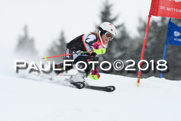 4. Ziener Cup WF, 25.02.2018