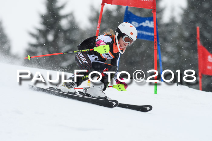 4. Ziener Cup WF, 25.02.2018