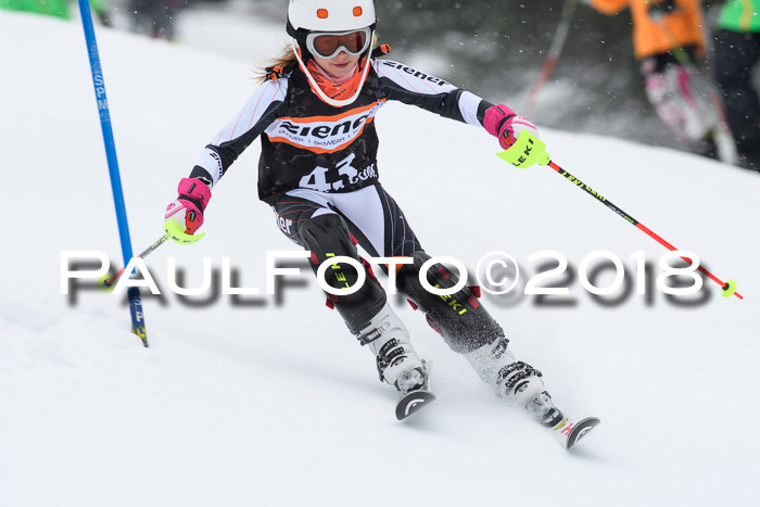 4. Ziener Cup WF, 25.02.2018