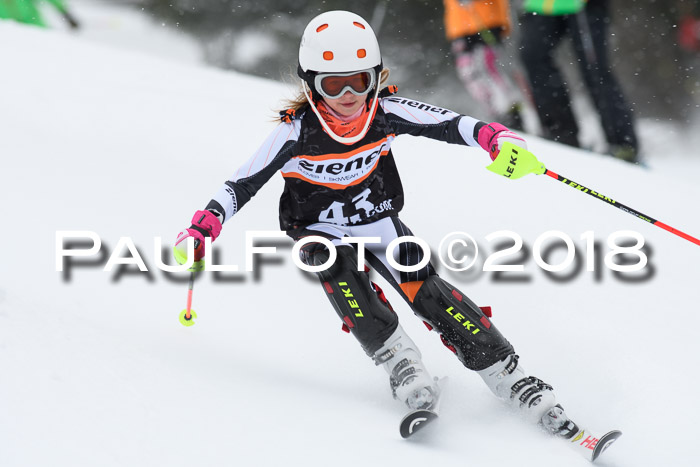 4. Ziener Cup WF, 25.02.2018