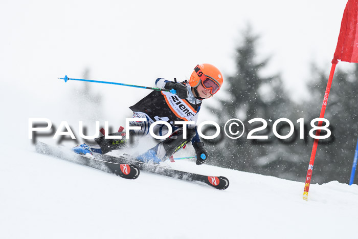 4. Ziener Cup WF, 25.02.2018