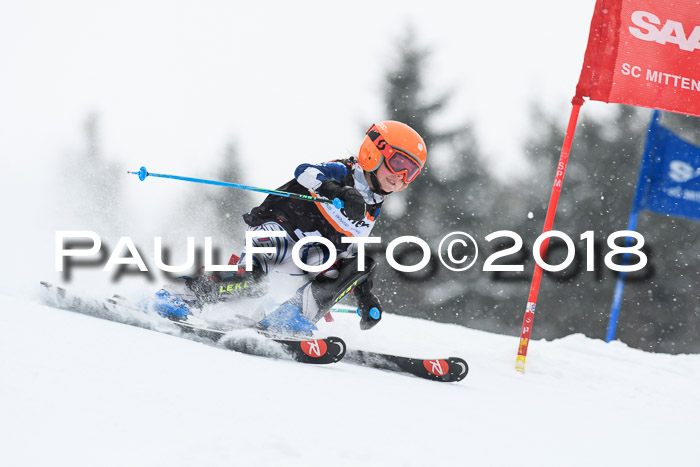 4. Ziener Cup WF, 25.02.2018