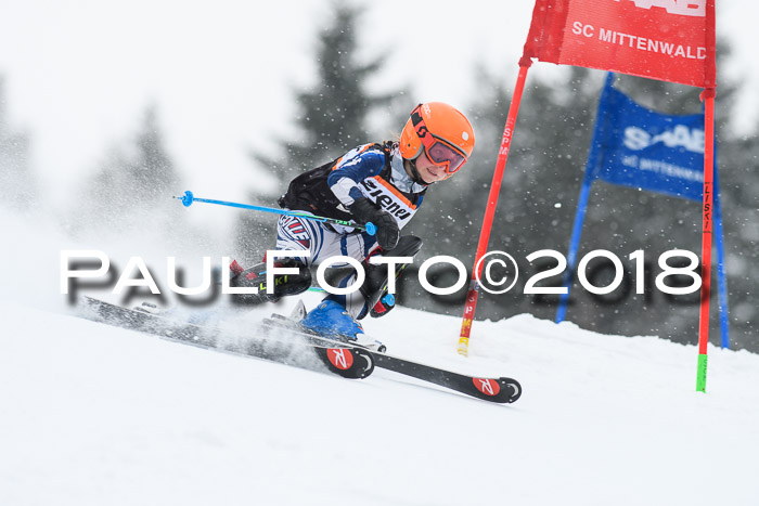 4. Ziener Cup WF, 25.02.2018