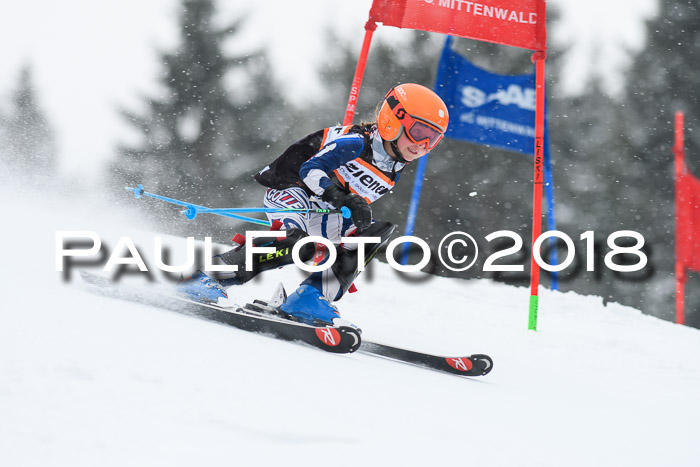 4. Ziener Cup WF, 25.02.2018