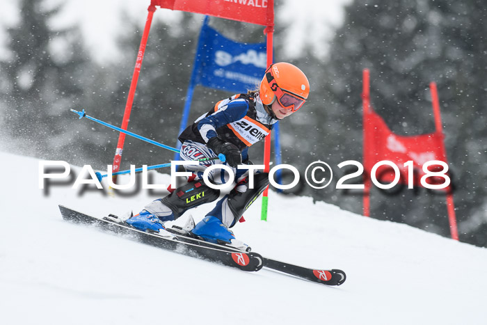4. Ziener Cup WF, 25.02.2018