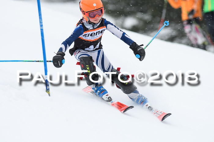 4. Ziener Cup WF, 25.02.2018