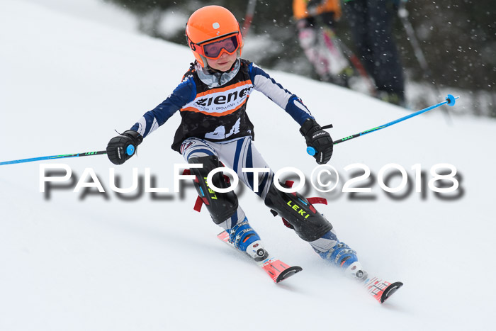 4. Ziener Cup WF, 25.02.2018