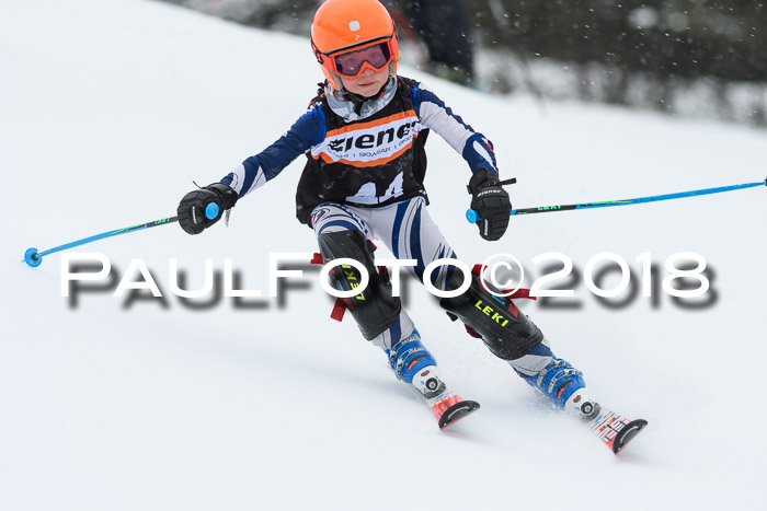 4. Ziener Cup WF, 25.02.2018