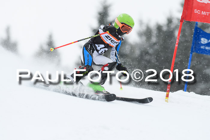 4. Ziener Cup WF, 25.02.2018