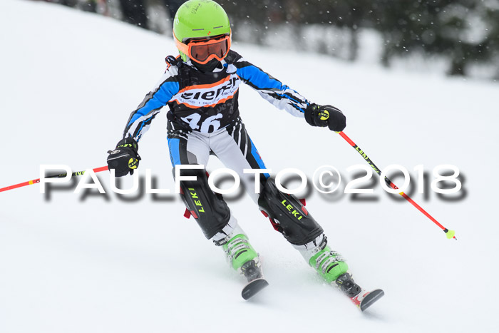 4. Ziener Cup WF, 25.02.2018