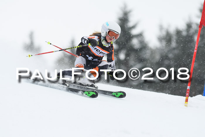 4. Ziener Cup WF, 25.02.2018