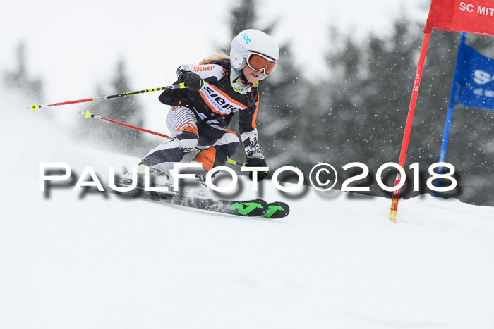 4. Ziener Cup WF, 25.02.2018