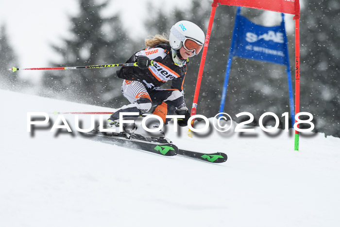 4. Ziener Cup WF, 25.02.2018