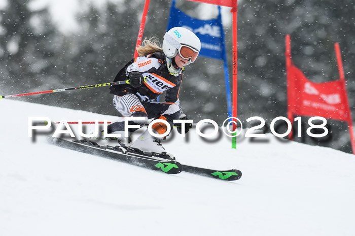 4. Ziener Cup WF, 25.02.2018