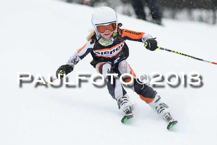 4. Ziener Cup WF, 25.02.2018