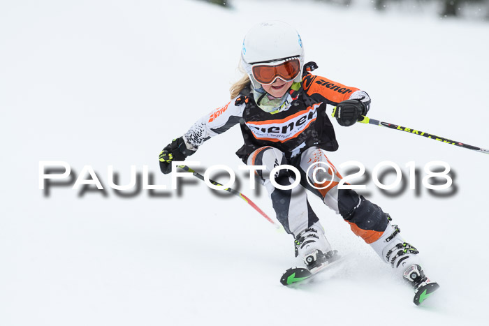 4. Ziener Cup WF, 25.02.2018