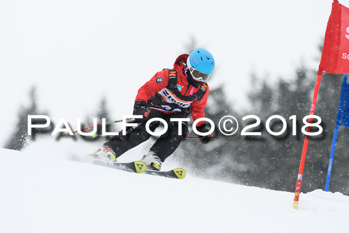 4. Ziener Cup WF, 25.02.2018