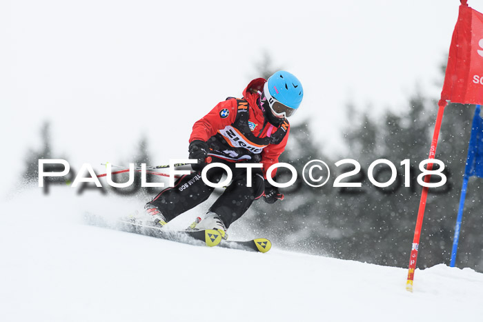 4. Ziener Cup WF, 25.02.2018