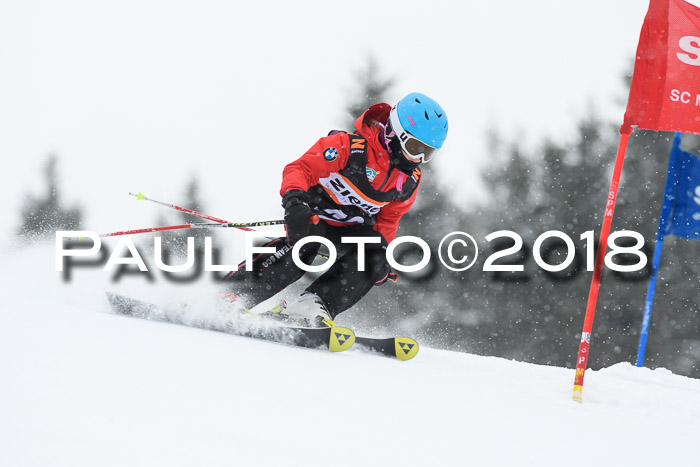 4. Ziener Cup WF, 25.02.2018