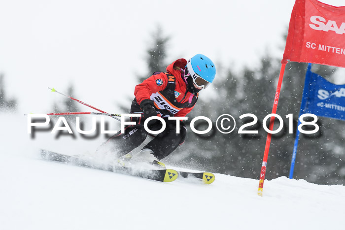 4. Ziener Cup WF, 25.02.2018