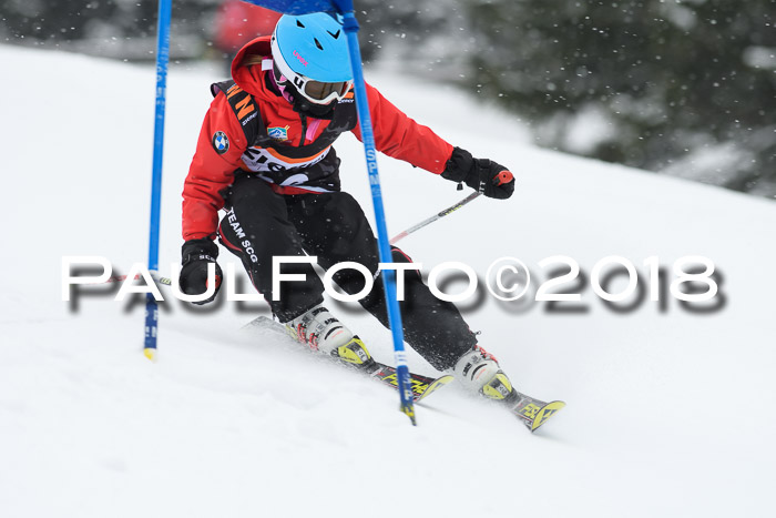 4. Ziener Cup WF, 25.02.2018
