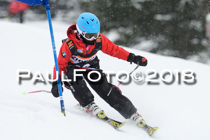 4. Ziener Cup WF, 25.02.2018