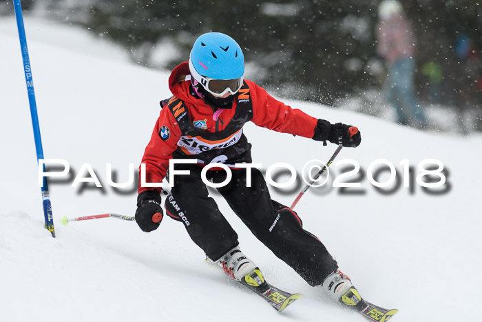 4. Ziener Cup WF, 25.02.2018