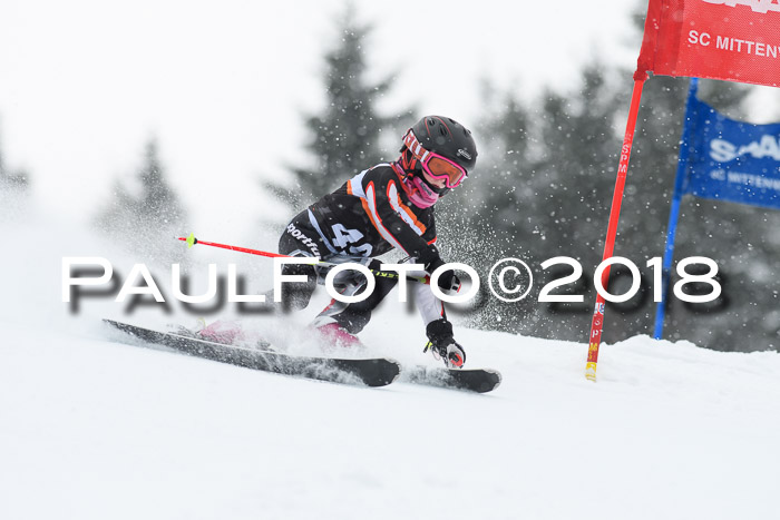 4. Ziener Cup WF, 25.02.2018