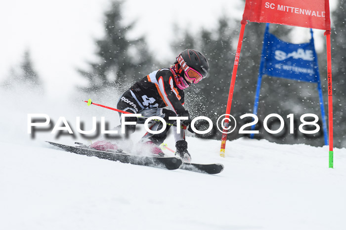 4. Ziener Cup WF, 25.02.2018
