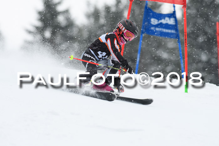 4. Ziener Cup WF, 25.02.2018
