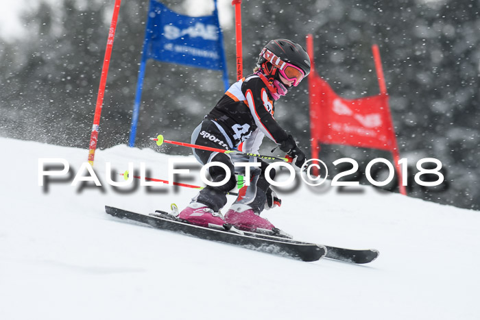 4. Ziener Cup WF, 25.02.2018