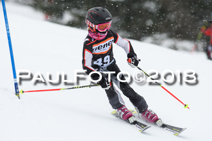 4. Ziener Cup WF, 25.02.2018
