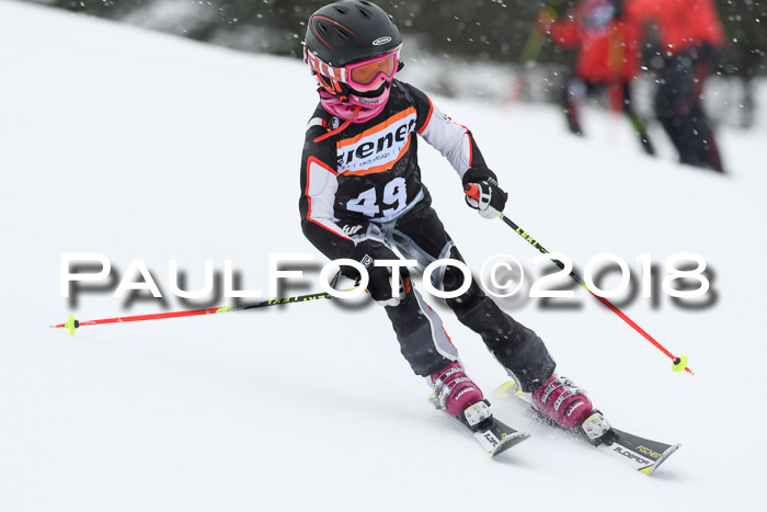 4. Ziener Cup WF, 25.02.2018