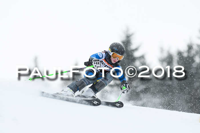 4. Ziener Cup WF, 25.02.2018