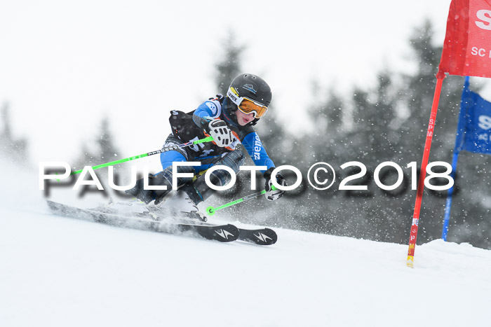 4. Ziener Cup WF, 25.02.2018